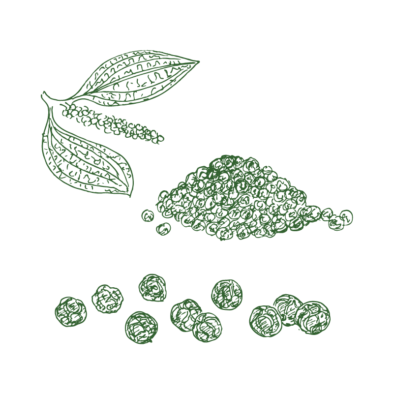Pepper